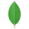mongodb-icon
